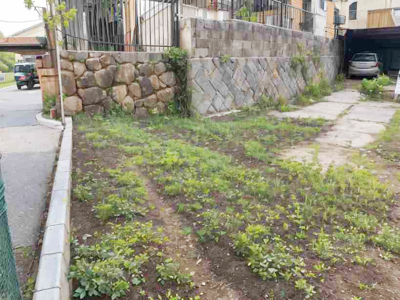 Yさん事例写真1